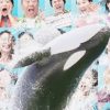 鴨川シーワールド Kamogawa Sea World（official）〈想像を超える夏 その①　～衝撃の体験！サマースプラッシュ～〉