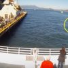 [閲覧注意] 観光客の前に突然ホホジロザメが・・・2015年10月10日の映像