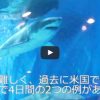 【動画】現時点で世界唯一　美ら海水族館でホホシロザメ展示　沖縄タイムス公式動画チャンネルより　2016年1月6日