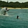 サメ映画 「ロスト・バケーション」の最新予告動画②（英語版）が公開　「THE SHALLOWS」