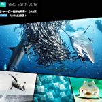 [番組予告]BBC Earth シャーク～海洋の覇者～2016年7月16日（土）午後1：30～（全2話）　WOWOWプライムにて