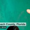 沖合に数千匹のサメのカマストガリザメの大群、警戒呼びかけ　アメリカ　フロリダ州　CNNより　2016年2月14日