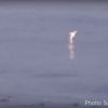 固定カメラが偶然捉えたホホジロザメのジャンプ映像　アメリカ