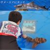 ドチザメ、 ネコザメ、アカエイにタッチ 2016年3月25日～2016年4月6日開催 名古屋港水族館