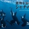 獲物を追い詰めるシャチの群れ　ナショナルジオグラフィック　2015年7月号一部　日本版サイト