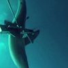 突進する本気モードのホホジロザメ　オーストラリア