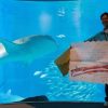 なんと約90cmのジンベエザメのキスマーク付きラブレター！　ラブレタープレゼント企画開始！応募期間2015年12月22日～2015年12月24日 メールで応募　大阪　海遊館