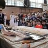 解体ショー　サメの食文化、五感で　近江八幡・北里小の出前授業　滋賀  毎日新聞　2015年11月14日　地方版