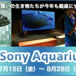14トンの大型水槽が登場 「Sony Aquarium」　2016年7月15日～8月28日開催について　ソニービルにて