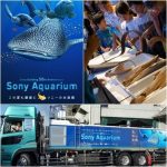 飼育員からサメの秘密を学んでお魚博士になっちゃおう！～について　Sony Aquariumの体験プログラム　銀座　ソニービル
