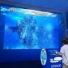 サメやマグロが攻撃してくる 人工知能（AI）を搭載した考える「デジタルいわし」2016年 3月26日～5月8日登場 横浜・八景島シーパラダイス