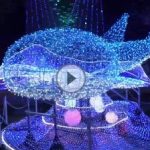 動画　海遊館で１３０万球のイルミネーション点灯　ジンベエザメ　大阪