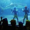 ジンベエザメとオニさんダイバー　水族館に鬼がやってきた　2016年2月3日まで　大阪 海遊館　biglobeニュースより