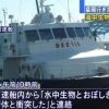 クジラやシャチの可能性！？ 高速船が海洋生物と衝突事故 釜山発博多行き 2016年1月8日