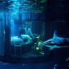 パリの水族館でサメと一晩過ごした当選者の様子　2016年4月11日