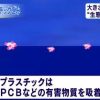 PCBなど有害物質を吸着する マイクロプラスチック 有害物質を沖に運ぶ可能性  2016年1月23日　NHK NEWS WEBより