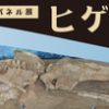 新種?展示のクジラ化石を調査　THE PAGE　生命の海科学館　愛知県　2015年12月29日