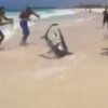 サメ引きずり出された後、死亡で物議　ドミニカ共和国