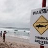 サーファー､ボードからサメに突き落とされる　サメ出没でクロヌラ･ビーチ閉鎖　オーストラリア 2016年3月28日