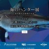 日本初公開 全長3.2mの ホホジロザメ全身液浸標本など　海のハンター展 2016年7月8日～2016年10月2日開催予定 国立科学博物館