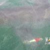 6歳児ホホジロザメを釣る　アメリカ　マサチューセッツ州