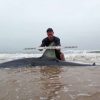 岸から巨大アオザメが釣れる　メキシコ湾　