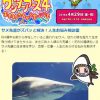 [サメ番組予告]ワンダーアース4 生き物たちから学ぶこと 2016年4月29日（金）午後2：00～5:53 ABC朝日放送