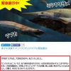 ラブカ死亡のお知らせ、ミツクリザメは治療に専念の為展示は2016年1月9日まで 横浜・八景島シーパラダイス