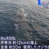 伊東沖に約12ｋｍの海上 全長20m 衝突したクジラか 高速船がクジラと衝突　伊豆大島沖