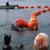 サメが嫌うとされるオレンジ色のサメ防御網設置　渋川海水浴場　岡山