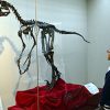 恐竜やサメの歯の化石や奇妙な生物標本集結　2016年1月31日まで開催　大船渡市立博物館　岩手