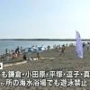 サメ３０匹以上…湘南９か所で遊泳禁止8月15日AM1時15分