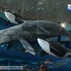 ロシア最大水族館　2016年6月オープン予定　ウラジオストク
