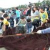 「大漁」に活気づく　伝統の地引き網漁体験　2015年11月9日