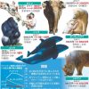 ゾウやゴリラ、シャチなど動物園や水族館の「2030年問題」