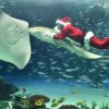 トラフザメも出演するかも！　サンタが（たまに）泳ぐ水槽を62時間サンシャイン水族館より生中継！　2015年12月23日午前10時から　ニコニコ生放送にて