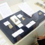 富山県　新生代のサメの歯 初公開　滑川市博物館 化石や鉱物の企画展　2015年8月8日～9月27日（日）まで