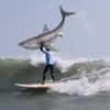 2015年7月19日に行われた南アフリカでのサーフィン大会でサメに襲われたオーストラリアのプロサーファーが　ケンタッキーフライドチキンのCMに