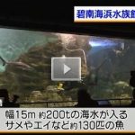 愛知県 碧南の水族館で水槽の大掃除　碧南海浜水族館  2015年12月7日