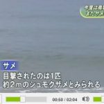 鳥取砂丘でサメの目撃情報　2015年（平成27年）8月28日午前１０時２０分