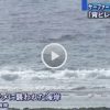 動画　体長３メートル　サメに襲われ男性がケガ　沖縄　糸満　大度海岸沖　2015年10月26日 11時58分