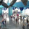 ロシア最大の水族館 　オープンしてから初の週末でにぎわう　NHKより