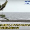 沖縄　糸満市　男性がサーフィン中にサメに噛まれけが　RBC琉球放送 News　2015年10月26日