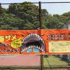 イチハラビロウドザメ　JAMSTEC横須賀本部の施設一般公開のイベント　深海ザメの体の中をのぞいてみよう！