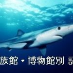 水族館・博物館別 記事（随時更新中）