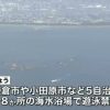 サメ確認受け　神奈川９海水浴場で遊泳禁止 NNN (2015/08/15)21時45分