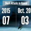 10歳の少年がサメに襲われ重傷、被害は今年7件目　シャークアタック　ハワイ　2015年10月29日