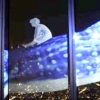 海遊館の巨大なジンベエザメの背中に乗った少年の映像　日本一高いビル「あべのハルカス」展望台　プロジェクションマッピング　2015年11月25日～2016年3月6日まで　ideanews