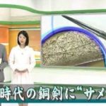 弥生時代の銅剣にサメの絵を確認 鳥取 NHK NEWS WEBより　2016年2月10日