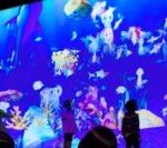 デジタルアート　チームラボ「お絵かき水族館」で、DFA Design for Asia Awardsの「Technology Award」と「Category Awards Winner”Gold Award”」受賞　PRTIMES 2015年11月27日